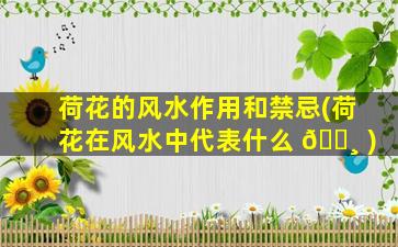 荷花的风水作用和禁忌(荷花在风水中代表什么 🕸 )